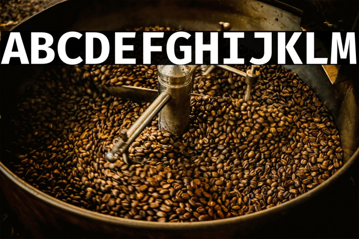 Fira Code Bold Example 1