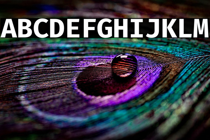 Fira Code Bold Example 2