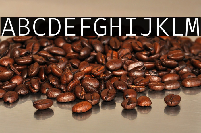 Fira Code Light Example 2