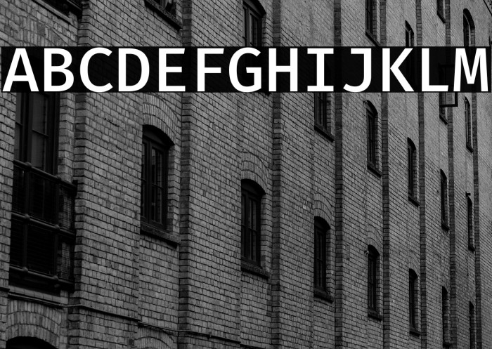 Fira Code Medium Example 3