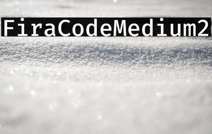 Fira Code Medium2 Example 1