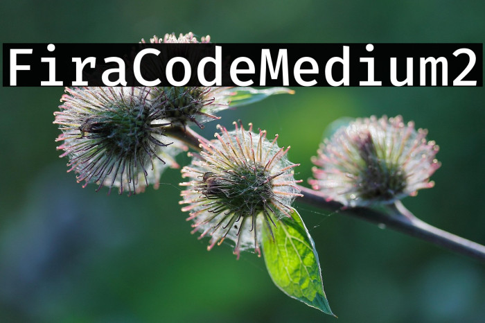 Fira Code Medium2 Example 3