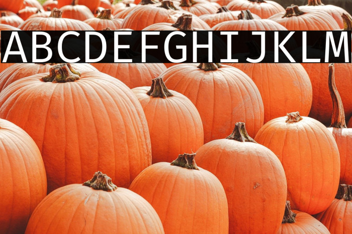 Fira Code Regular Example 1