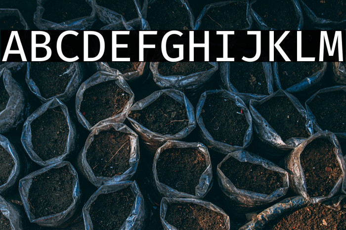 Fira Code Retina Example 1