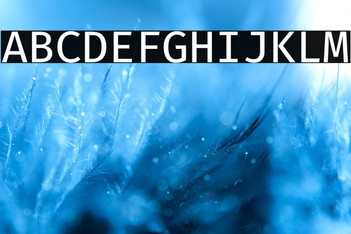 Fira Code Retina Example 2