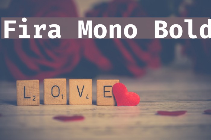 Fira Mono Bold Font examples