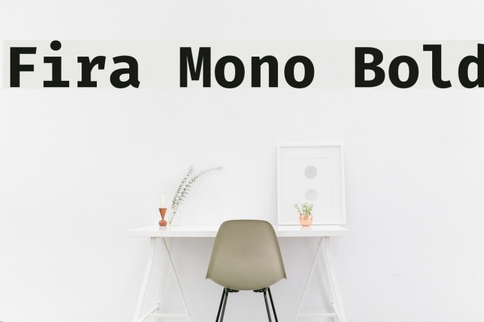 Fira Mono Bold Font examples