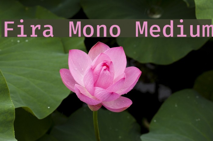 Fira Mono Medium Font examples