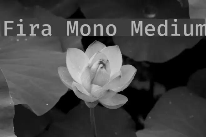 Fira Mono Medium Font examples