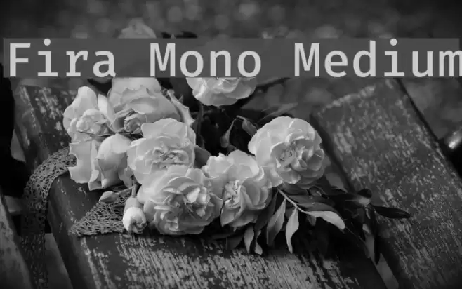 Fira Mono Medium Font examples
