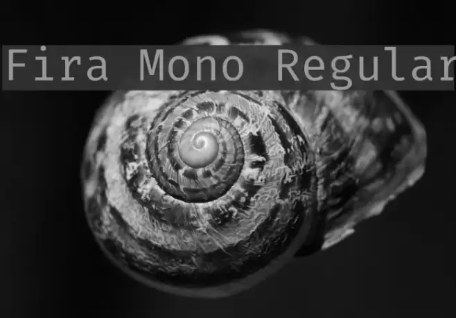 Fira Mono Regular Font examples