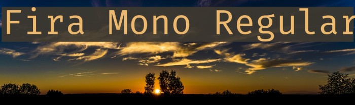 Fira Mono Regular Font examples
