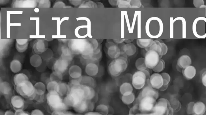 Fira Mono Font examples
