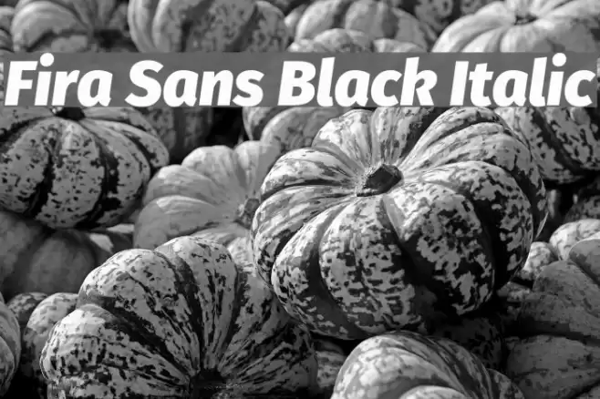 Fira Sans Black Italic Font examples