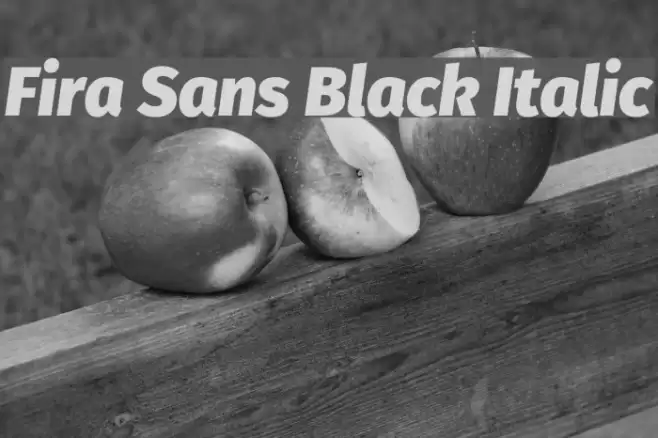 Fira Sans Black Italic Font examples
