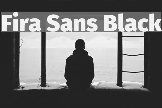 Fira Sans Black Font examples