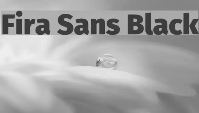 Fira Sans Black Font examples