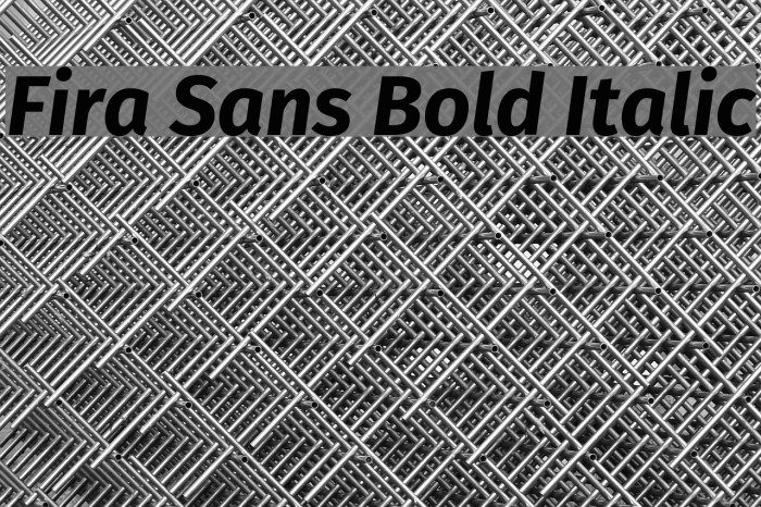 Fira Sans Bold Italic Font examples