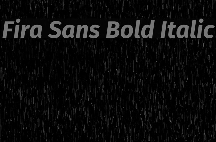 Fira Sans Bold Italic Font examples