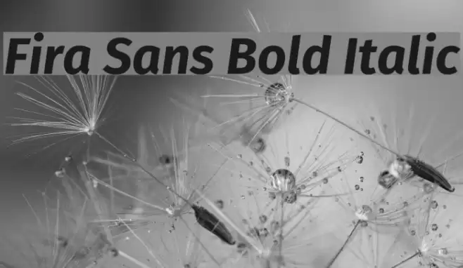 Fira Sans Bold Italic Font examples