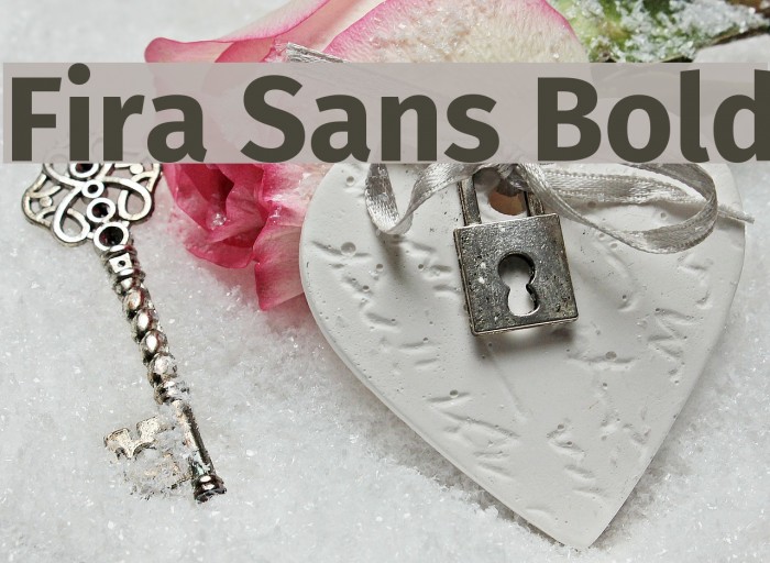 Fira Sans Bold Font examples