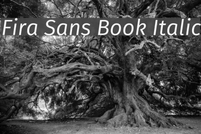 Fira Sans Book Italic Fonte examples