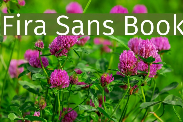 Fira Sans Book Font examples