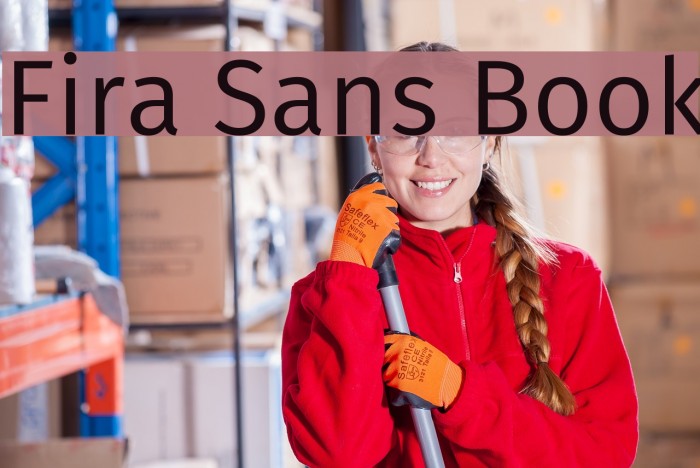 Fira Sans Book Font examples