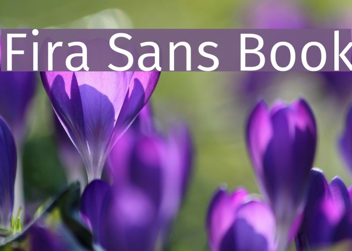 Fira Sans Book Font examples