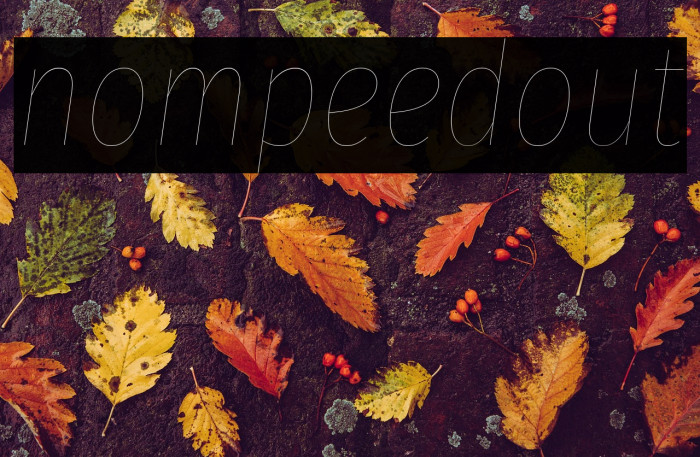 Fira Sans Compressed Four Italic Example 2