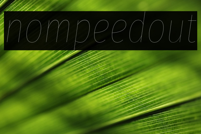 Fira Sans Compressed Four Italic Example 3