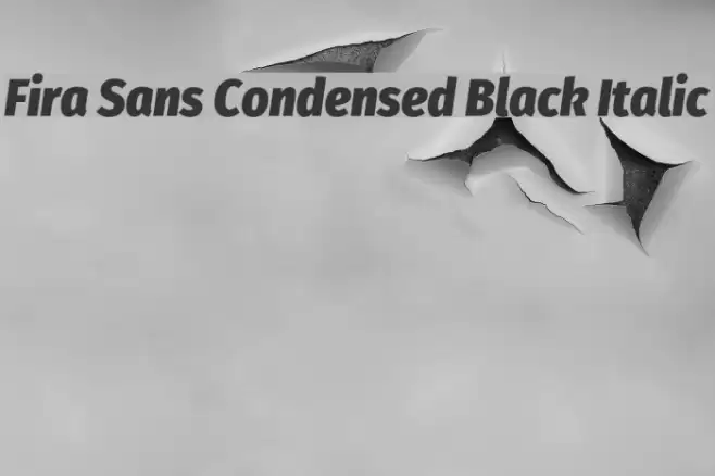 Fira Sans Condensed Black Italic Font examples