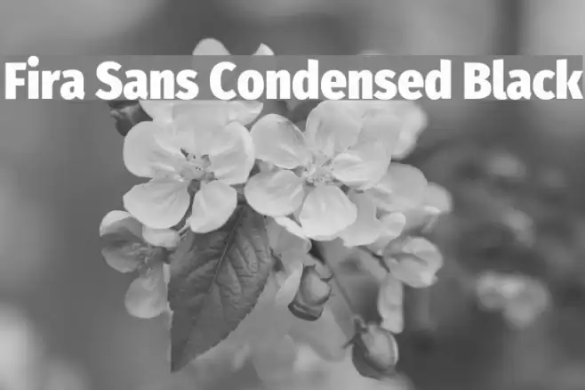 Fira Sans Condensed Black Font examples