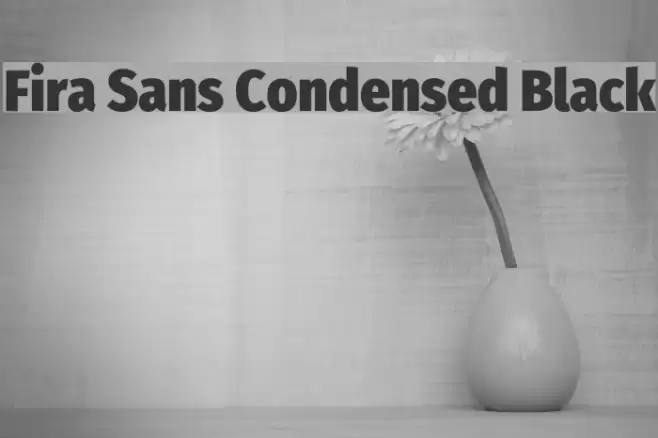 Fira Sans Condensed Black Font examples