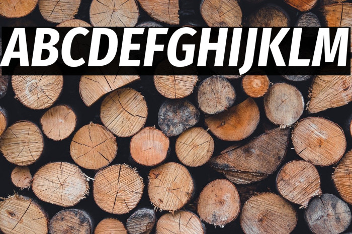 Fira Sans Condensed Bold Italic Example 2