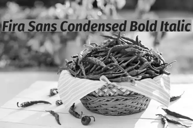 Fira Sans Condensed Bold Italic Font examples