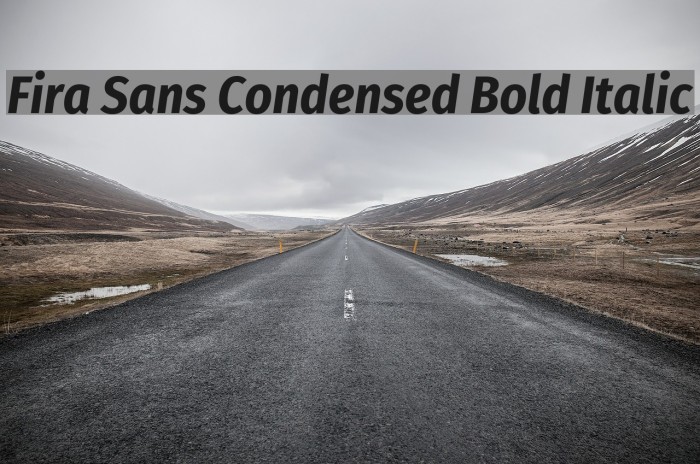 Fira Sans Condensed Bold Italic Font examples