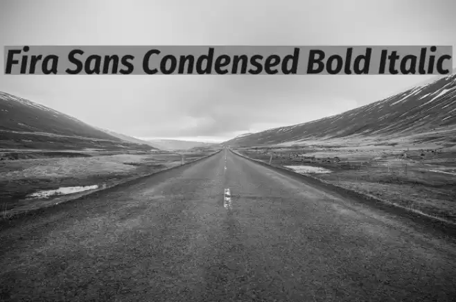 Fira Sans Condensed Bold Italic Font examples