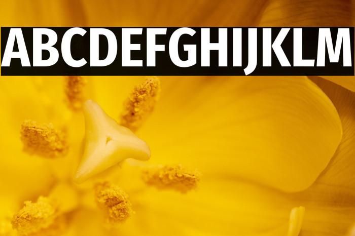 Fira Sans Condensed Bold Example 1