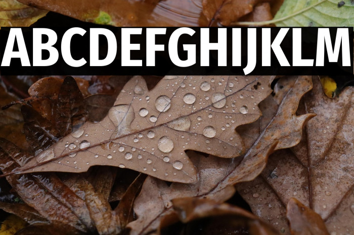 Fira Sans Condensed Bold Example 2