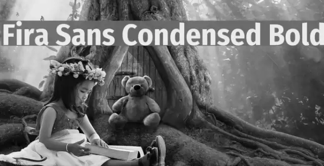 Fira Sans Condensed Bold Font examples