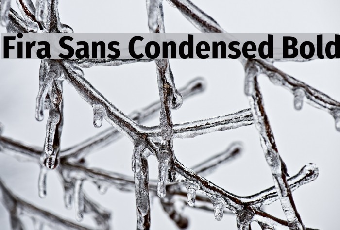 Fira Sans Condensed Bold Font examples