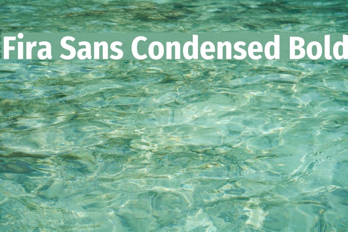 Fira Sans Condensed Bold Font examples