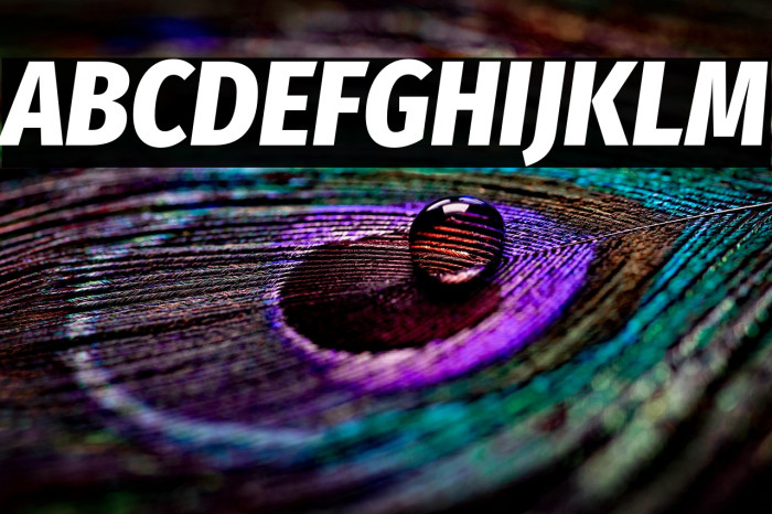 Fira Sans Condensed ExtraBold Italic Example 1