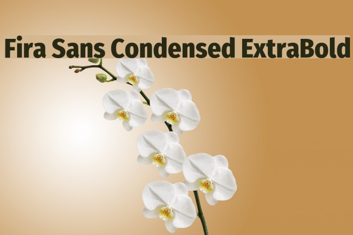Fira Sans Condensed ExtraBold Font examples