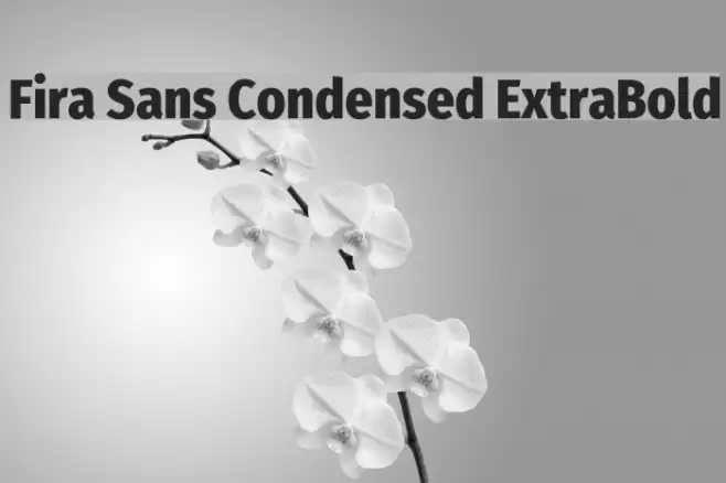 Fira Sans Condensed ExtraBold Font examples