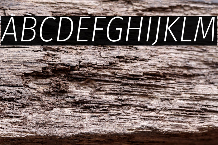 Fira Sans Condensed ExtraLight Italic Example 3