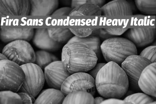 Fira Sans Condensed Heavy Italic Font examples