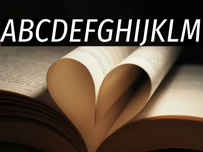 Fira Sans Condensed Italic Example 1