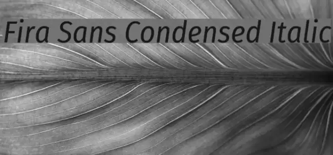 Fira Sans Condensed Italic Font examples